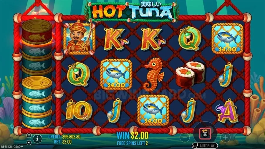 8k8 casino Effective Bankroll Management